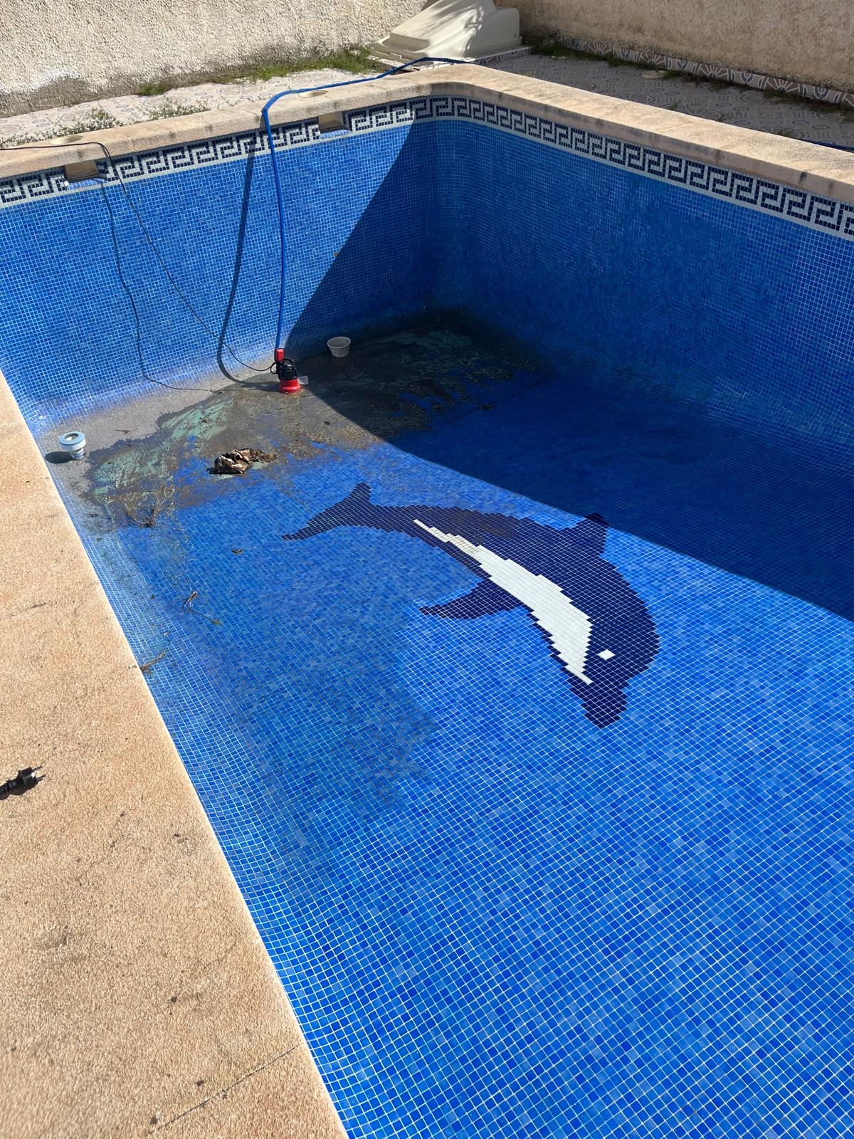Pool Renovation